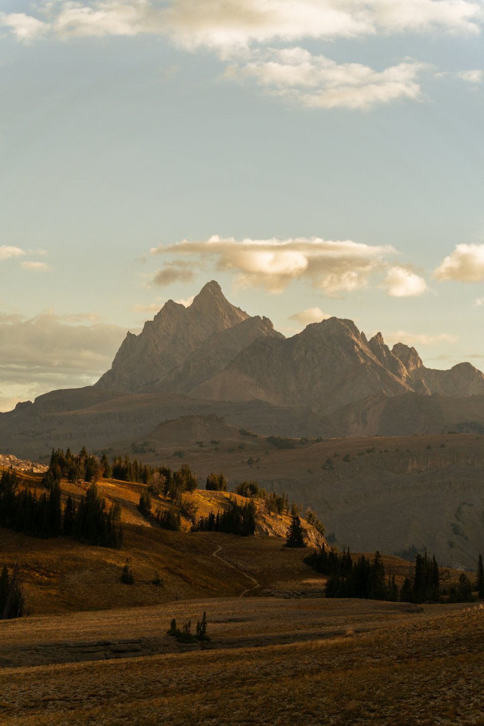 Golden hour light on dry hills and evergreen trees with mountain peaks.